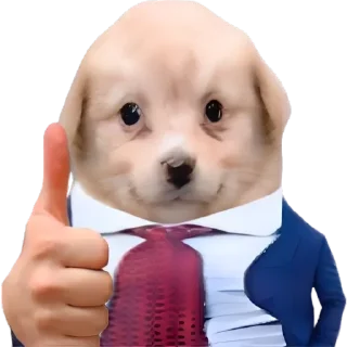 😎