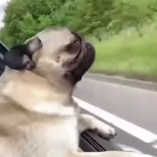 🚘