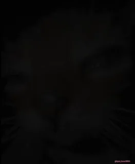 😶