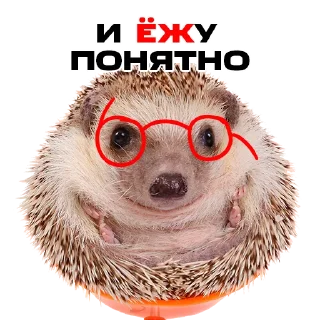 😤