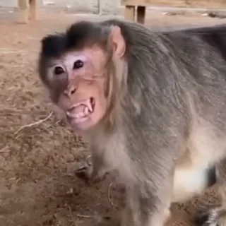 😡
