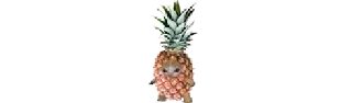 🍍