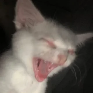 😭