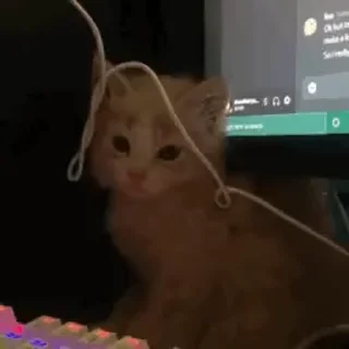 😋