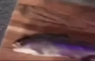 😧