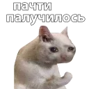😪