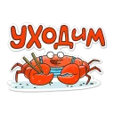 🦀
