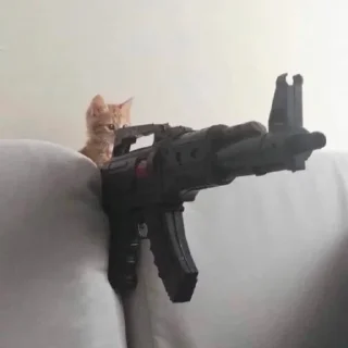 🐾