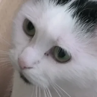 🥲
