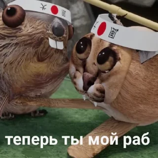 📦