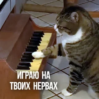 🎹