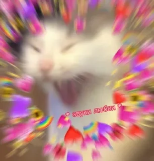 💕