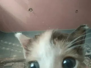 👀