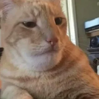 🤨