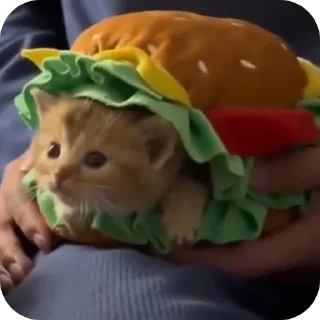 👍