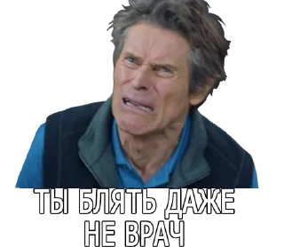 🙀