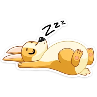 😴