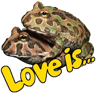 🐸