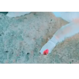 👍
