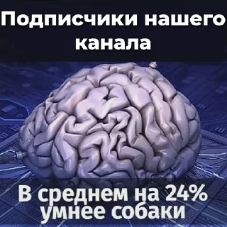 🧠