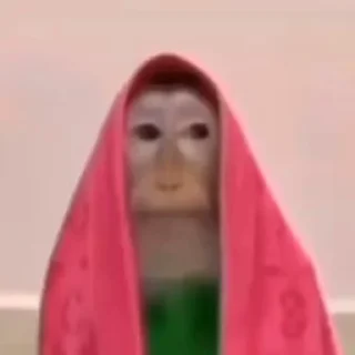 🐵