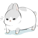 🐰