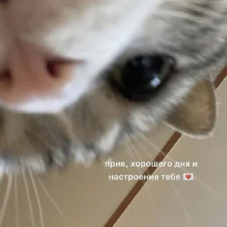 💌