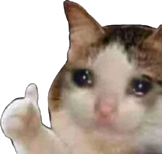 👍