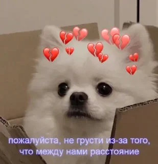 🥺