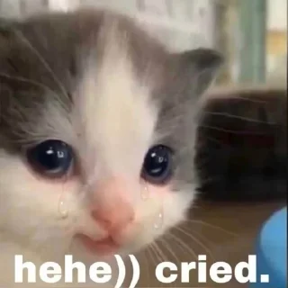 🥲