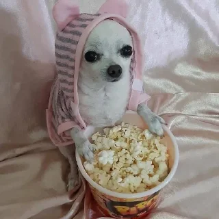 🍿