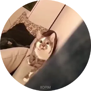 🤨