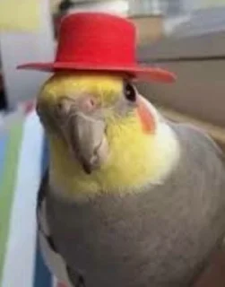 🎩