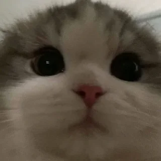 😐