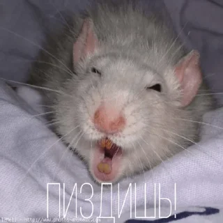👿