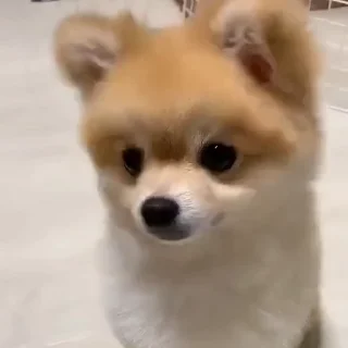 😍