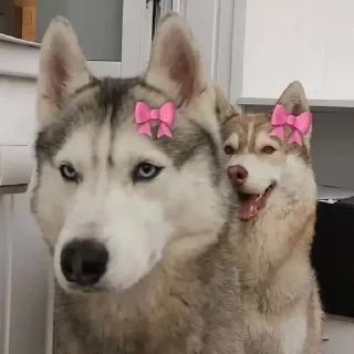 🌟
