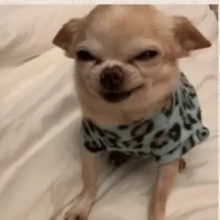 😠