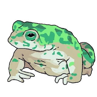🐸