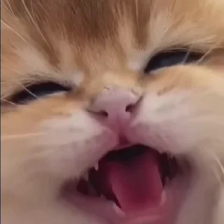 😕