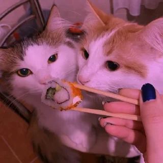 💜