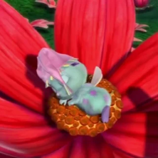 😴