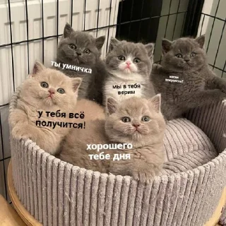 💟
