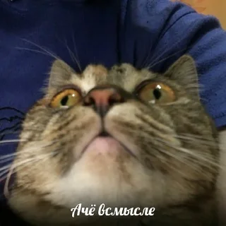 😯