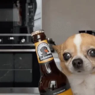 🍺