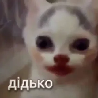 😄
