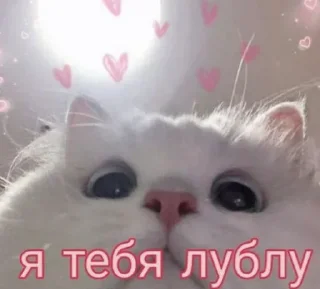 💓