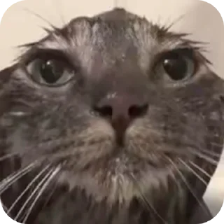 🥲