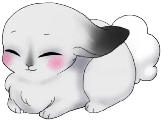 weird bunny