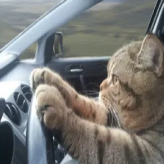 🚘